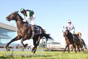 Luckless Shamus not on Derby path